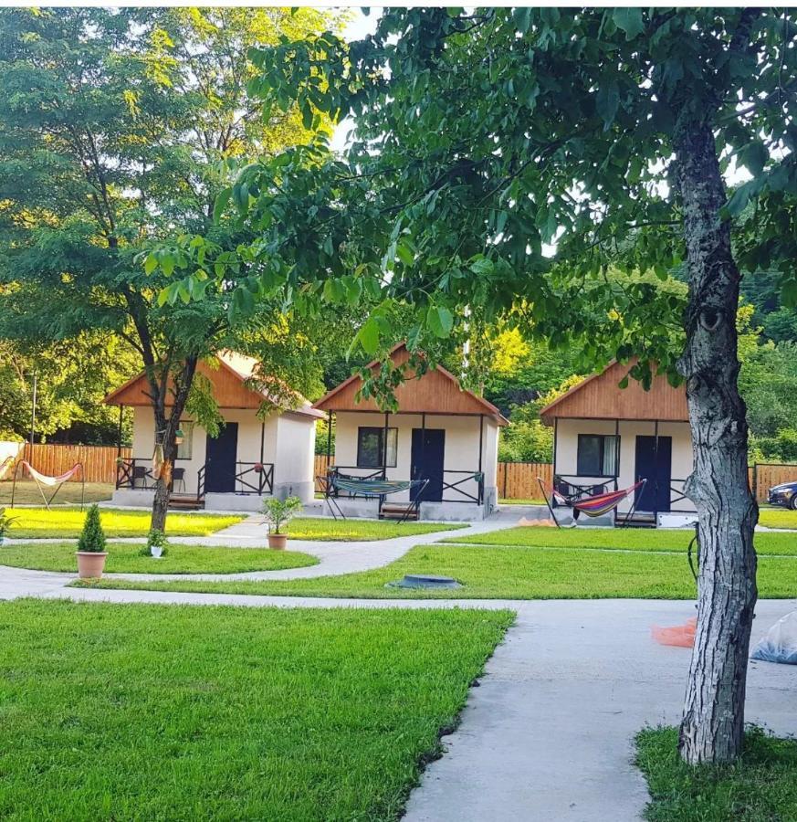 Flora Racha Villa Амбролаури Екстериор снимка